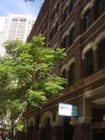 Druhé a třetí patro téhle budovy je naše škola. | Australia - Whatson Bay | Maroubra Beach - 9|10.4.2010